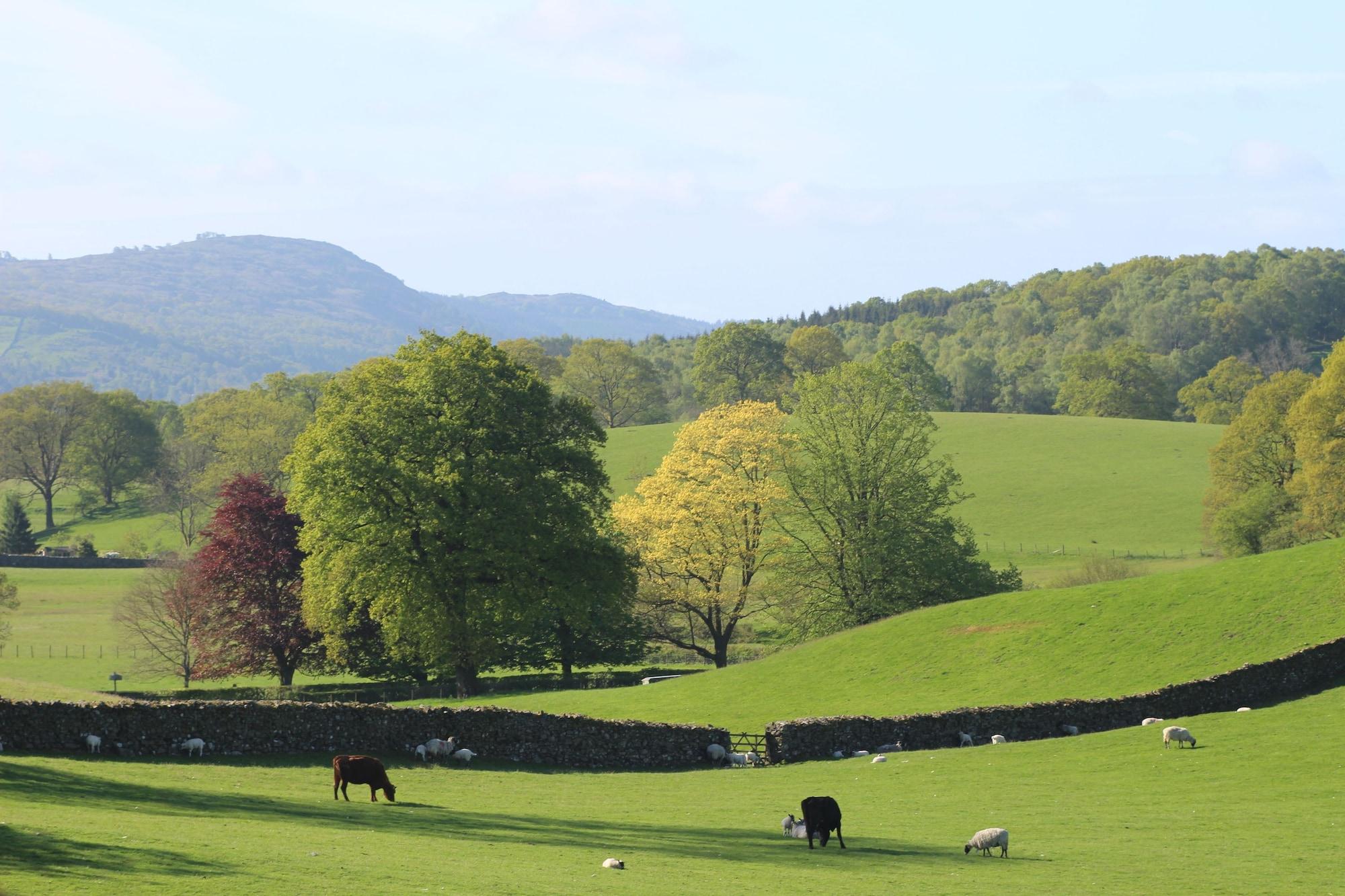 Inn The Cuckoo Brow 4*